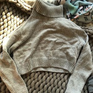 Cropped Turttleneck Sweater